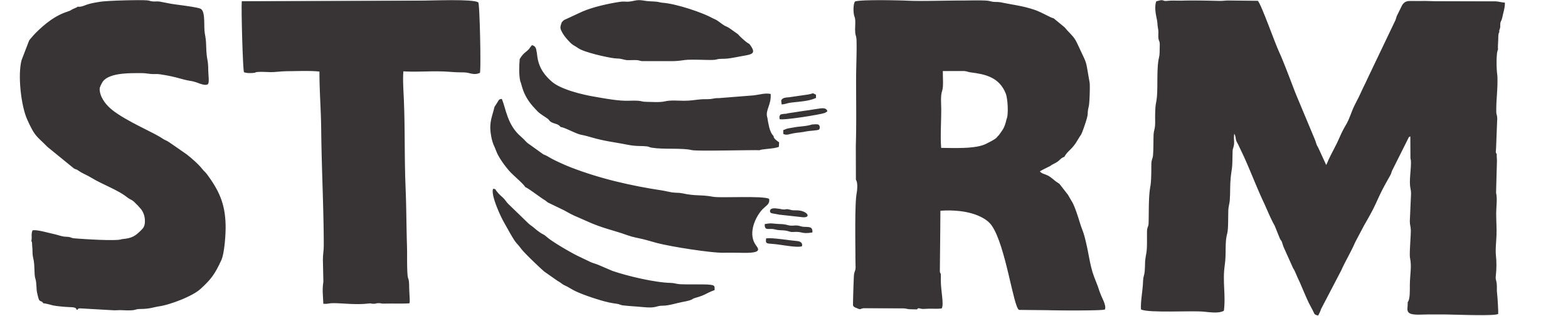 Storm Logo