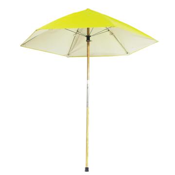 D Umbrella