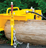 Pole trailer light with chain binder